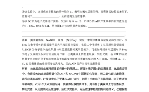 2024年高考生物一轮复习（新人教版）第3单元　解惑练3　光系统及电子传递链_09高考生物_2024年新高考资料_1.2024一轮复习_2024年高考生物一轮复习讲义（新人教版）
