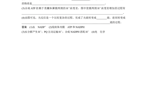 2024年高考生物一轮复习（新人教版）第3单元　解惑练3　光系统及电子传递链_09高考生物_2024年新高考资料_1.2024一轮复习_2024年高考生物一轮复习讲义（新人教版）
