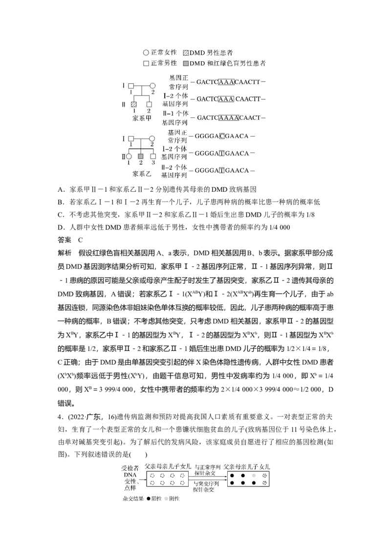 2024年高考生物一轮复习（新人教版）第5单元　第8课时　伴性遗传的特点与应用及人类遗传病_09高考生物_2024年新高考资料_1.2024一轮复习_2024年高考生物一轮复习讲义（新人教版）