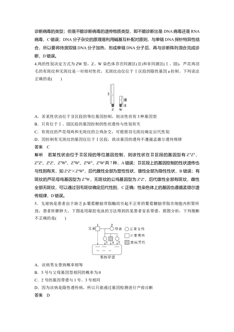 2024年高考生物一轮复习（新人教版）第5单元　第8课时　伴性遗传的特点与应用及人类遗传病_09高考生物_2024年新高考资料_1.2024一轮复习_2024年高考生物一轮复习讲义（新人教版）