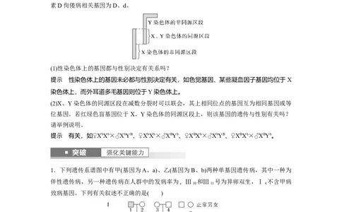 2024年高考生物一轮复习（新人教版）第5单元　第8课时　伴性遗传的特点与应用及人类遗传病_09高考生物_2024年新高考资料_1.2024一轮复习_2024年高考生物一轮复习讲义（新人教版）