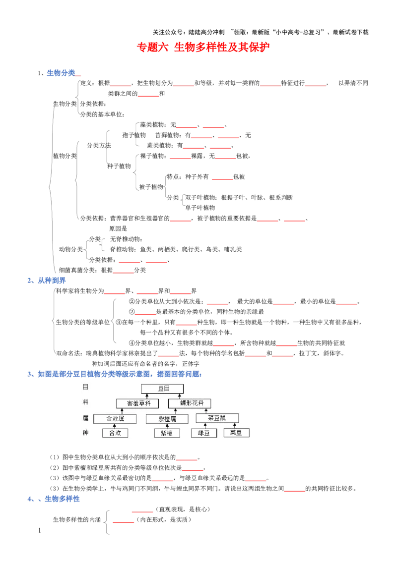 专题06生物的多样性及其保护（填空版）_02中考总复习（2026版更新中）_08-生物-中考总复习_2025中考复习资料_2025年中考生物知识梳理_专题06生物的多样性及其保护