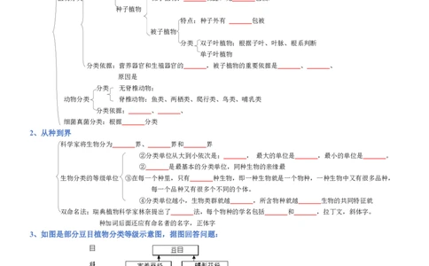 专题06生物的多样性及其保护（填空版）_02中考总复习（2026版更新中）_08-生物-中考总复习_2025中考复习资料_2025年中考生物知识梳理_专题06生物的多样性及其保护