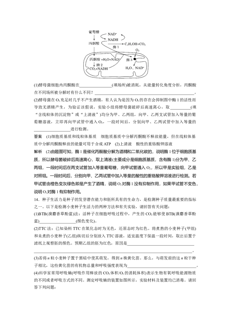 2024年高考生物一轮复习（新人教版）第3单元　第3课时　细胞呼吸的方式和过程_09高考生物_2024年新高考资料_1.2024一轮复习_2024年高考生物一轮复习讲义（新人教版）