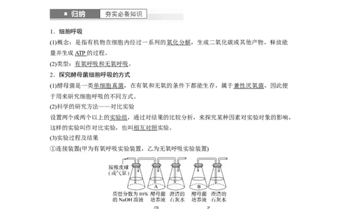 2024年高考生物一轮复习（新人教版）第3单元　第3课时　细胞呼吸的方式和过程_09高考生物_2024年新高考资料_1.2024一轮复习_2024年高考生物一轮复习讲义（新人教版）