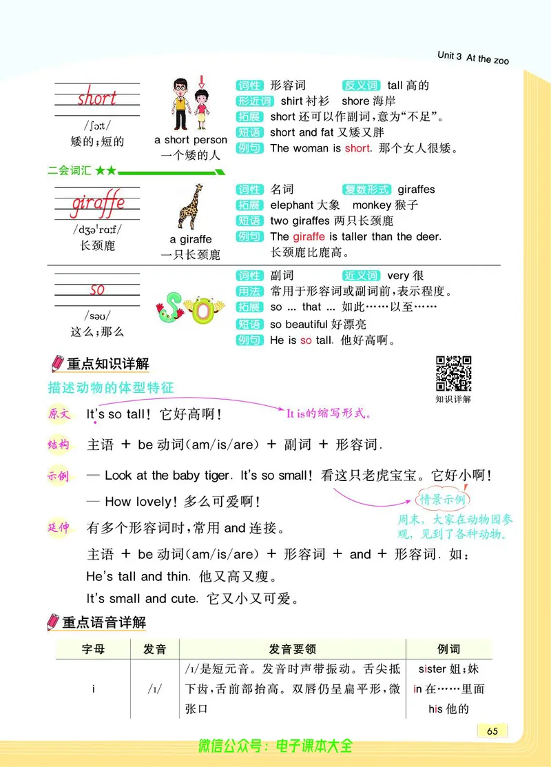 英语3B_26春四年级上下册人教版_四上英语合集人教版PEP英语四年级上册新教材（教学视频+课件+动画+音频+练习+教案）_17练习资料_小学英语（预习复习资料大礼包）_《教材一点通》