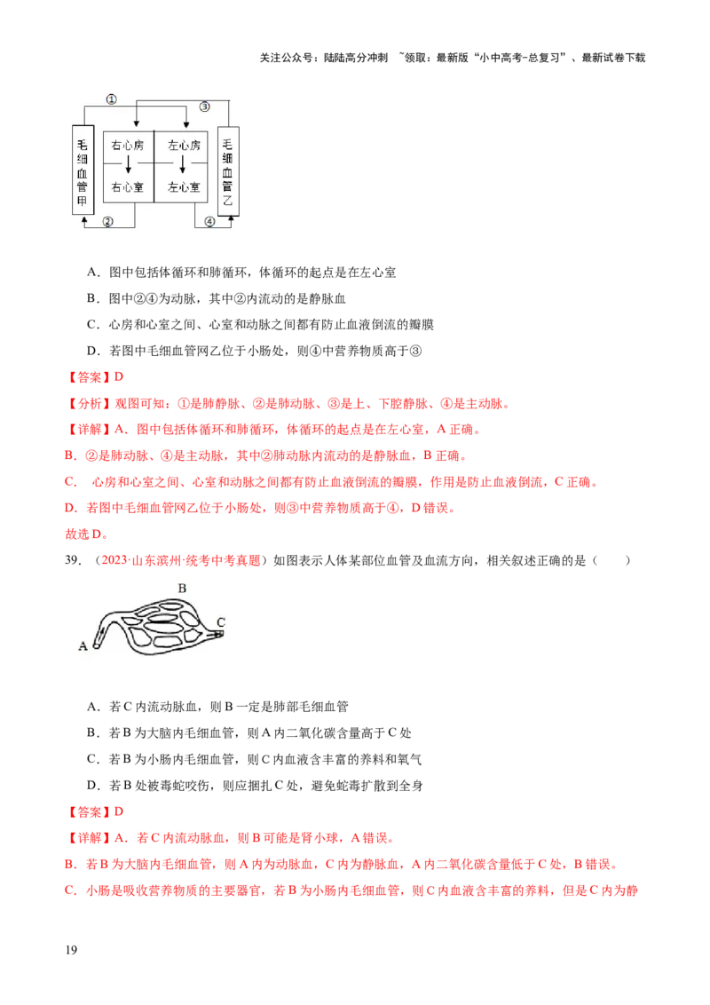 专题12人体内物质的运输（解析版）_02中考总复习（2026版更新中）_08-生物-中考总复习_2024年中考复习资料_一轮复习_❤备战2024年中考生物一轮复习考点帮（全国通用）_练习