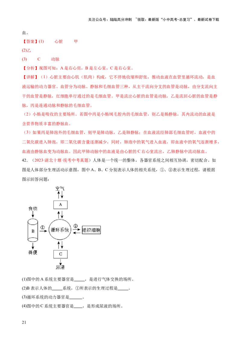 专题12人体内物质的运输（解析版）_02中考总复习（2026版更新中）_08-生物-中考总复习_2024年中考复习资料_一轮复习_❤备战2024年中考生物一轮复习考点帮（全国通用）_练习