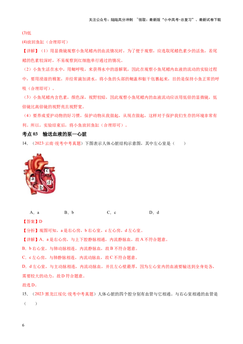 专题12人体内物质的运输（解析版）_02中考总复习（2026版更新中）_08-生物-中考总复习_2024年中考复习资料_一轮复习_❤备战2024年中考生物一轮复习考点帮（全国通用）_练习