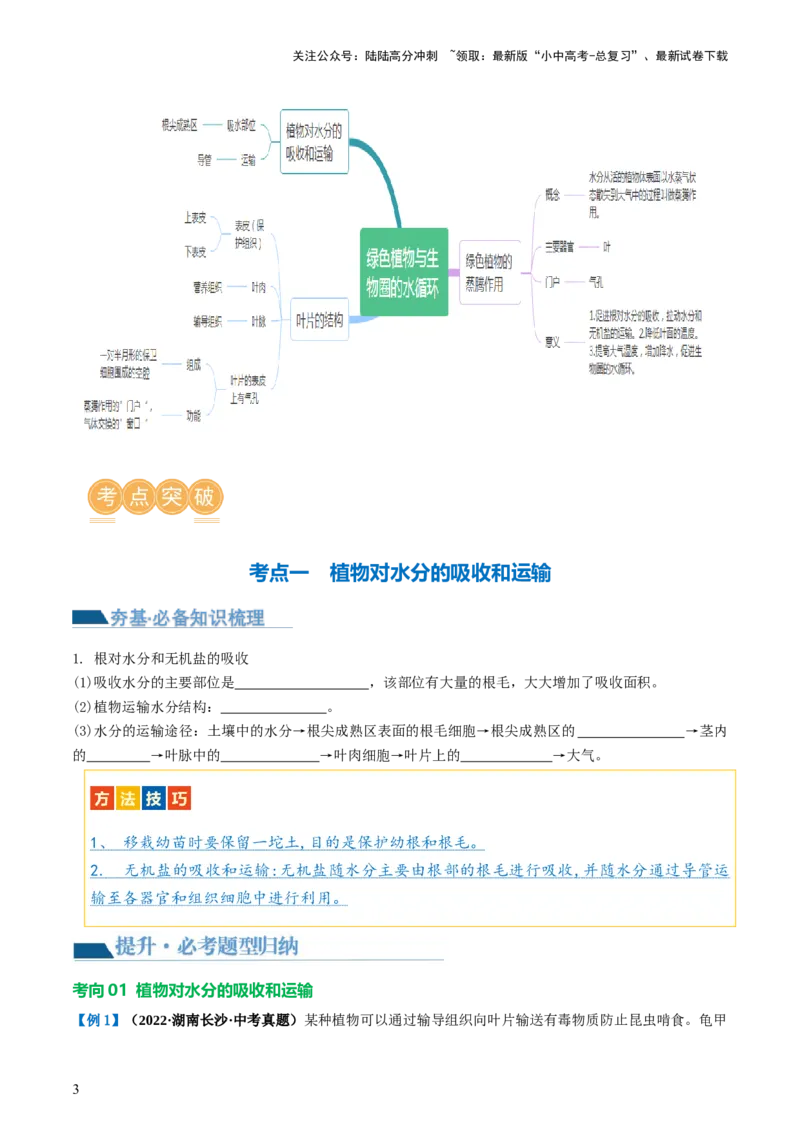专题06绿色植物与生物圈的水循环（讲义）（原卷版）_02中考总复习（2026版更新中）_08-生物-中考总复习_2024年中考复习资料_一轮复习_❤2024年中考生物一轮复习讲练测（全国通用）_讲义