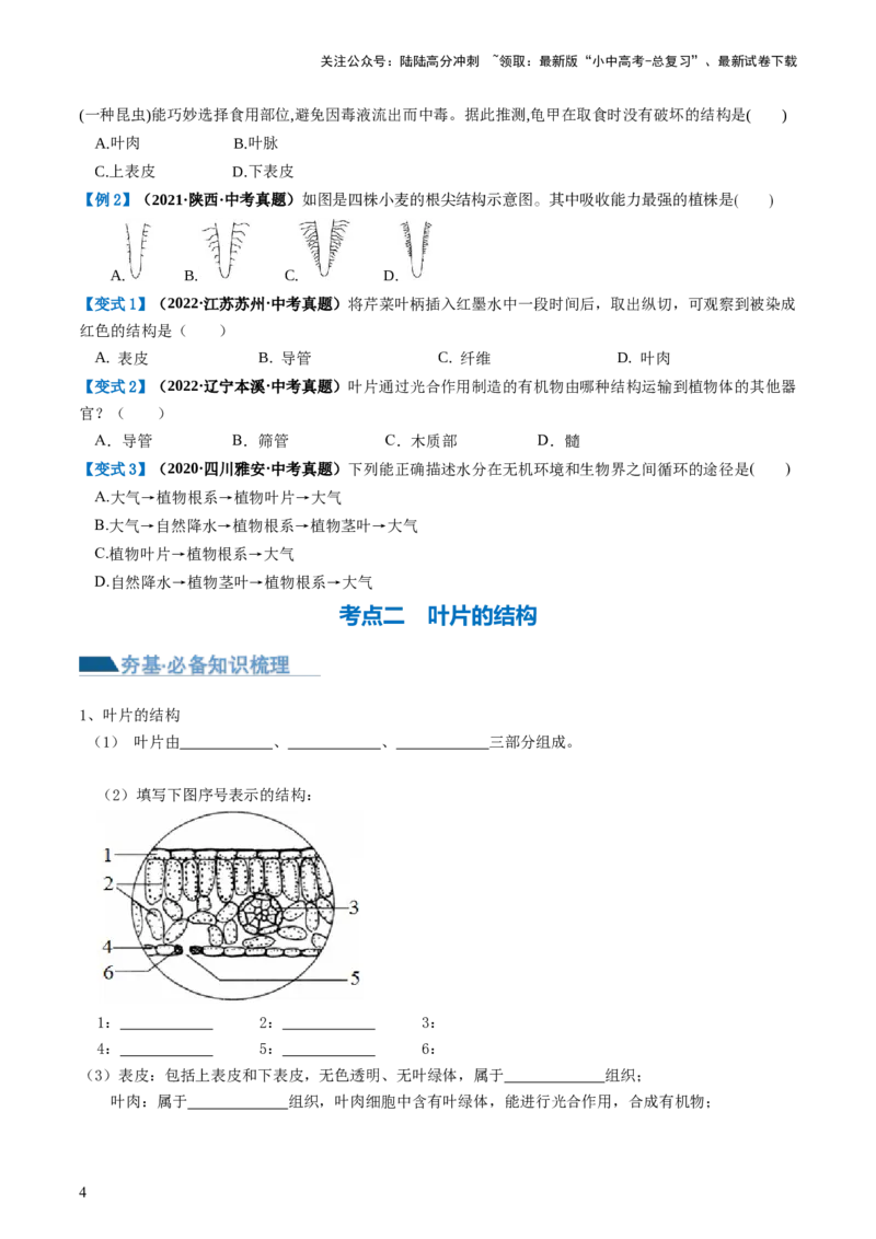 专题06绿色植物与生物圈的水循环（讲义）（原卷版）_02中考总复习（2026版更新中）_08-生物-中考总复习_2024年中考复习资料_一轮复习_❤2024年中考生物一轮复习讲练测（全国通用）_讲义