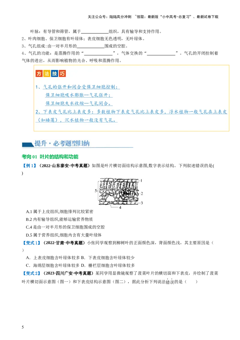 专题06绿色植物与生物圈的水循环（讲义）（原卷版）_02中考总复习（2026版更新中）_08-生物-中考总复习_2024年中考复习资料_一轮复习_❤2024年中考生物一轮复习讲练测（全国通用）_讲义