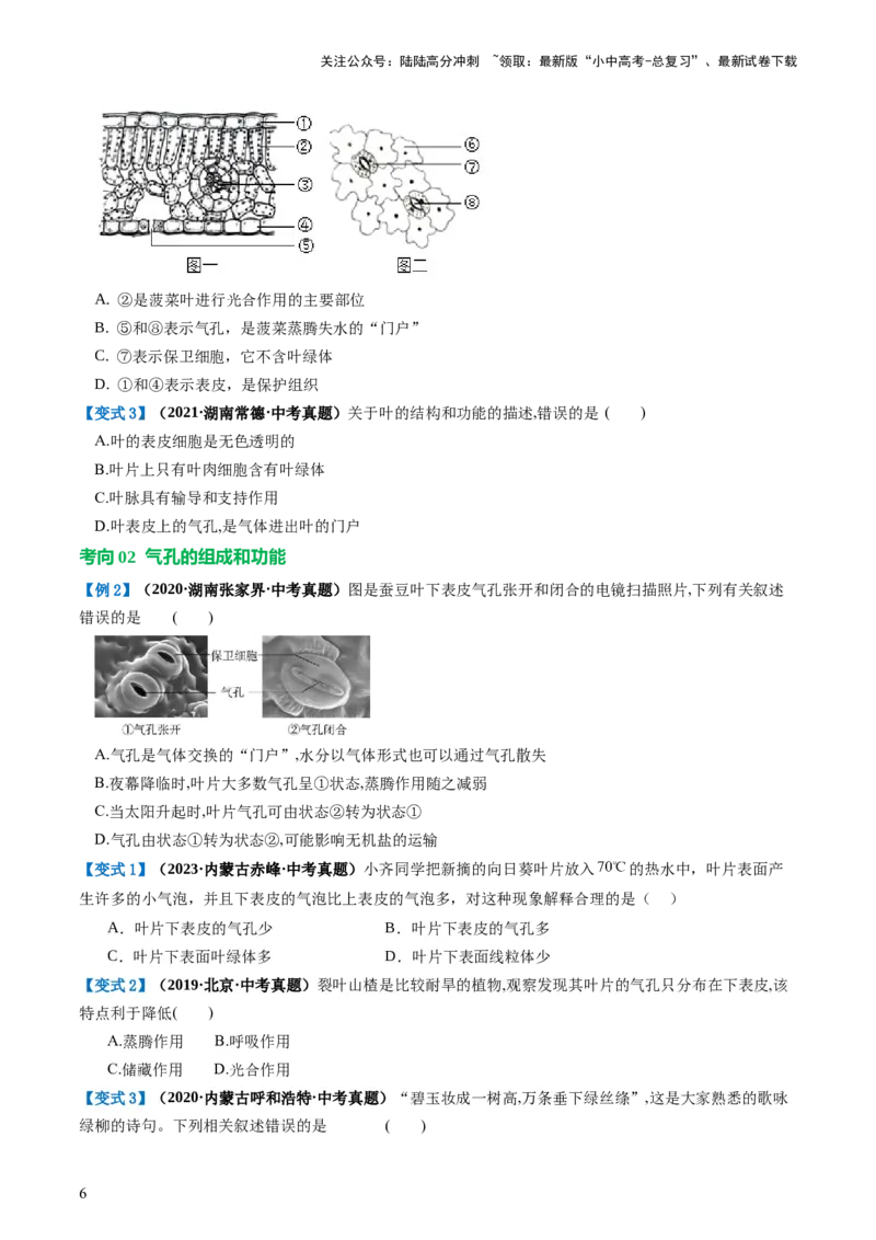 专题06绿色植物与生物圈的水循环（讲义）（原卷版）_02中考总复习（2026版更新中）_08-生物-中考总复习_2024年中考复习资料_一轮复习_❤2024年中考生物一轮复习讲练测（全国通用）_讲义