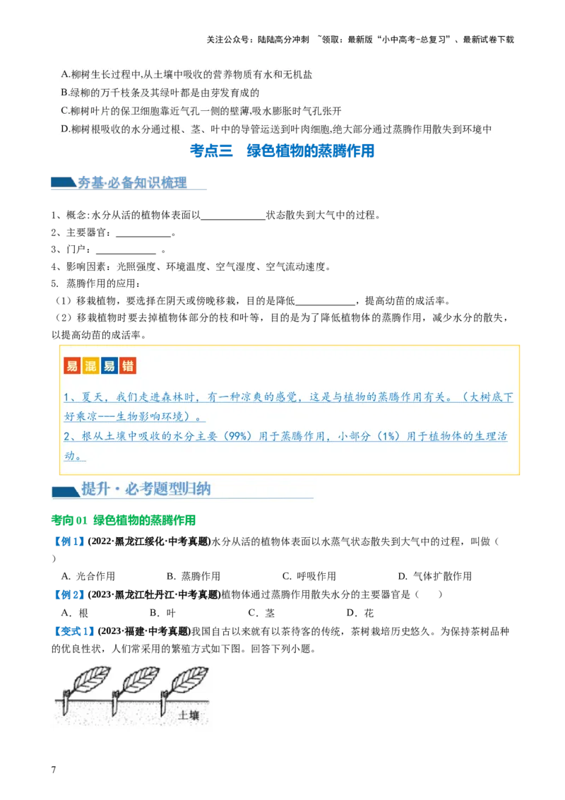 专题06绿色植物与生物圈的水循环（讲义）（原卷版）_02中考总复习（2026版更新中）_08-生物-中考总复习_2024年中考复习资料_一轮复习_❤2024年中考生物一轮复习讲练测（全国通用）_讲义