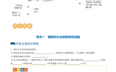 专题06绿色植物与生物圈的水循环（讲义）（原卷版）_02中考总复习（2026版更新中）_08-生物-中考总复习_2024年中考复习资料_一轮复习_❤2024年中考生物一轮复习讲练测（全国通用）_讲义