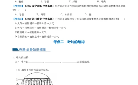 专题06绿色植物与生物圈的水循环（讲义）（原卷版）_02中考总复习（2026版更新中）_08-生物-中考总复习_2024年中考复习资料_一轮复习_❤2024年中考生物一轮复习讲练测（全国通用）_讲义