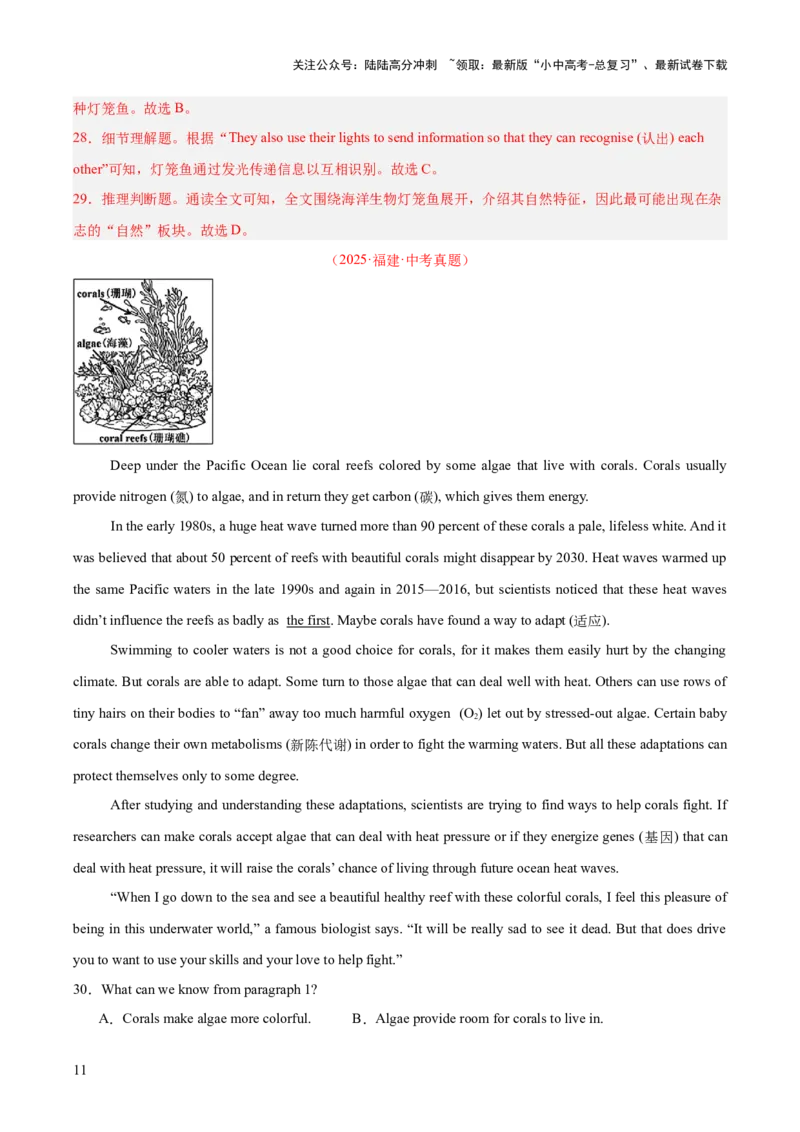 专题20阅读理解考点3说明文（全国通用）（解析版）_02中考总复习（2026版更新中）_03-英语-中考总复习_2026年中考复习（更新中）