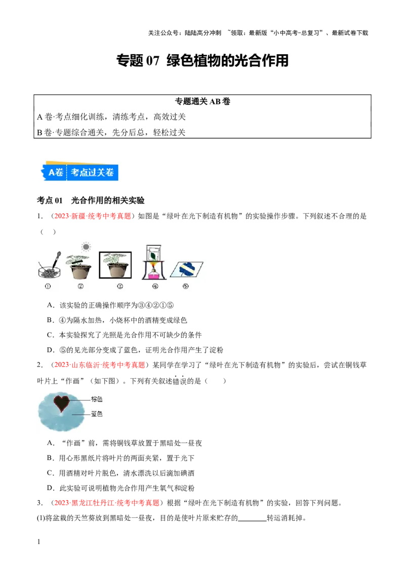 专题07绿色植物的光合作用（原卷版）_02中考总复习（2026版更新中）_08-生物-中考总复习_2024年中考复习资料_一轮复习_❤备战2024年中考生物一轮复习考点帮（全国通用）_练习