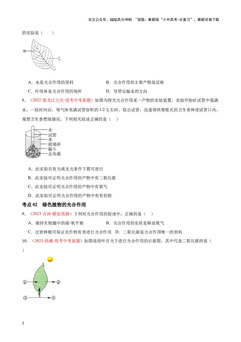 专题07绿色植物的光合作用（原卷版）_02中考总复习（2026版更新中）_08-生物-中考总复习_2024年中考复习资料_一轮复习_❤备战2024年中考生物一轮复习考点帮（全国通用）_练习