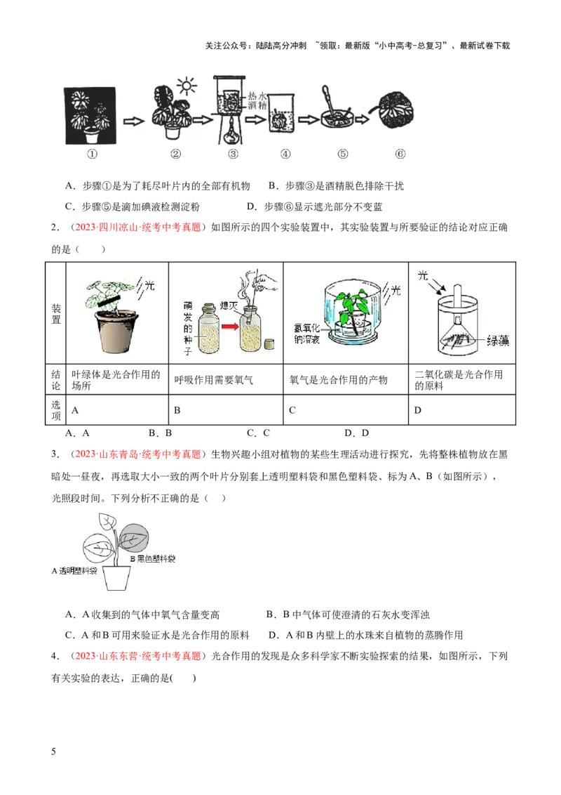 专题07绿色植物的光合作用（原卷版）_02中考总复习（2026版更新中）_08-生物-中考总复习_2024年中考复习资料_一轮复习_❤备战2024年中考生物一轮复习考点帮（全国通用）_练习