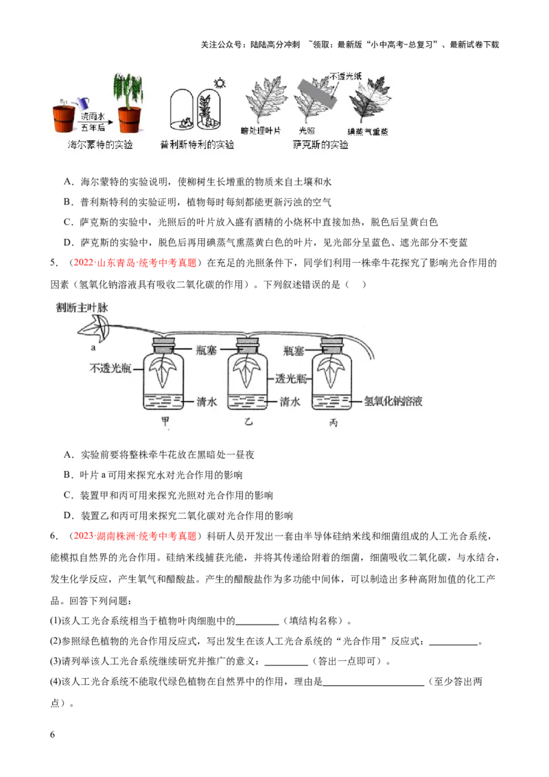 专题07绿色植物的光合作用（原卷版）_02中考总复习（2026版更新中）_08-生物-中考总复习_2024年中考复习资料_一轮复习_❤备战2024年中考生物一轮复习考点帮（全国通用）_练习