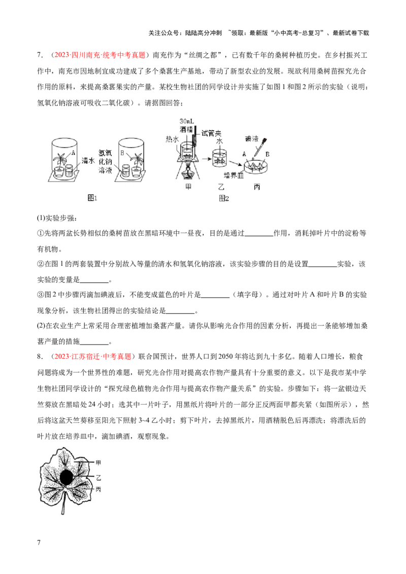 专题07绿色植物的光合作用（原卷版）_02中考总复习（2026版更新中）_08-生物-中考总复习_2024年中考复习资料_一轮复习_❤备战2024年中考生物一轮复习考点帮（全国通用）_练习