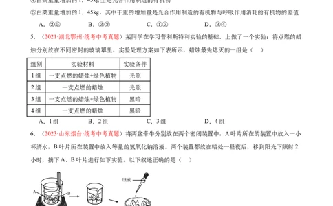 专题07绿色植物的光合作用（原卷版）_02中考总复习（2026版更新中）_08-生物-中考总复习_2024年中考复习资料_一轮复习_❤备战2024年中考生物一轮复习考点帮（全国通用）_练习
