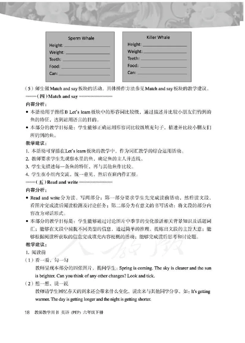 英语PEP6B教师教学用书_26春四年级上下册人教版_四上英语合集人教版PEP英语四年级上册新教材（教学视频+课件+动画+音频+练习+教案）_16教师用书_小学英语_人教版PEP