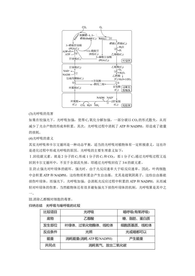 2024年高考生物一轮复习（新人教版）第3单元　解惑练2　光呼吸和光抑制_09高考生物_2024年新高考资料_1.2024一轮复习_2024年高考生物一轮复习讲义（新人教版）