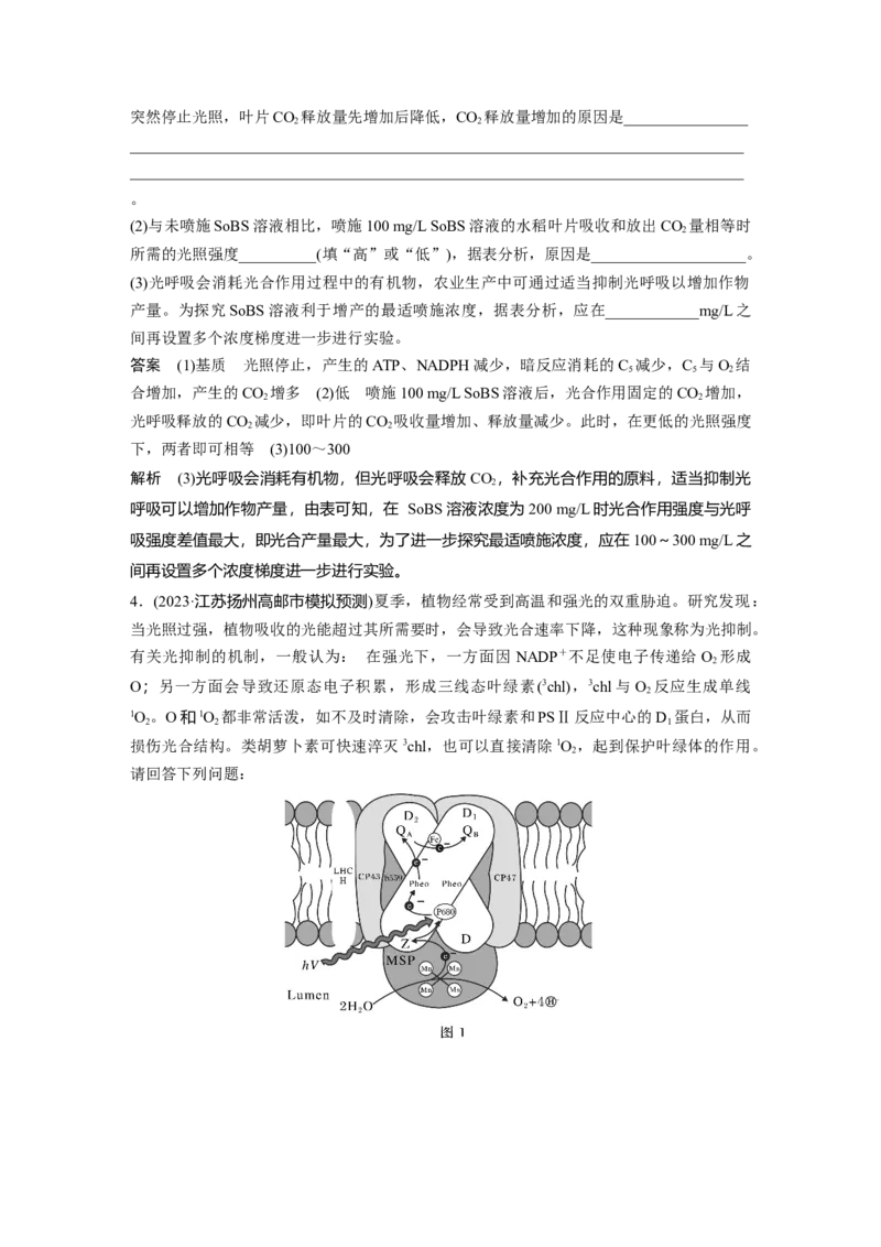 2024年高考生物一轮复习（新人教版）第3单元　解惑练2　光呼吸和光抑制_09高考生物_2024年新高考资料_1.2024一轮复习_2024年高考生物一轮复习讲义（新人教版）