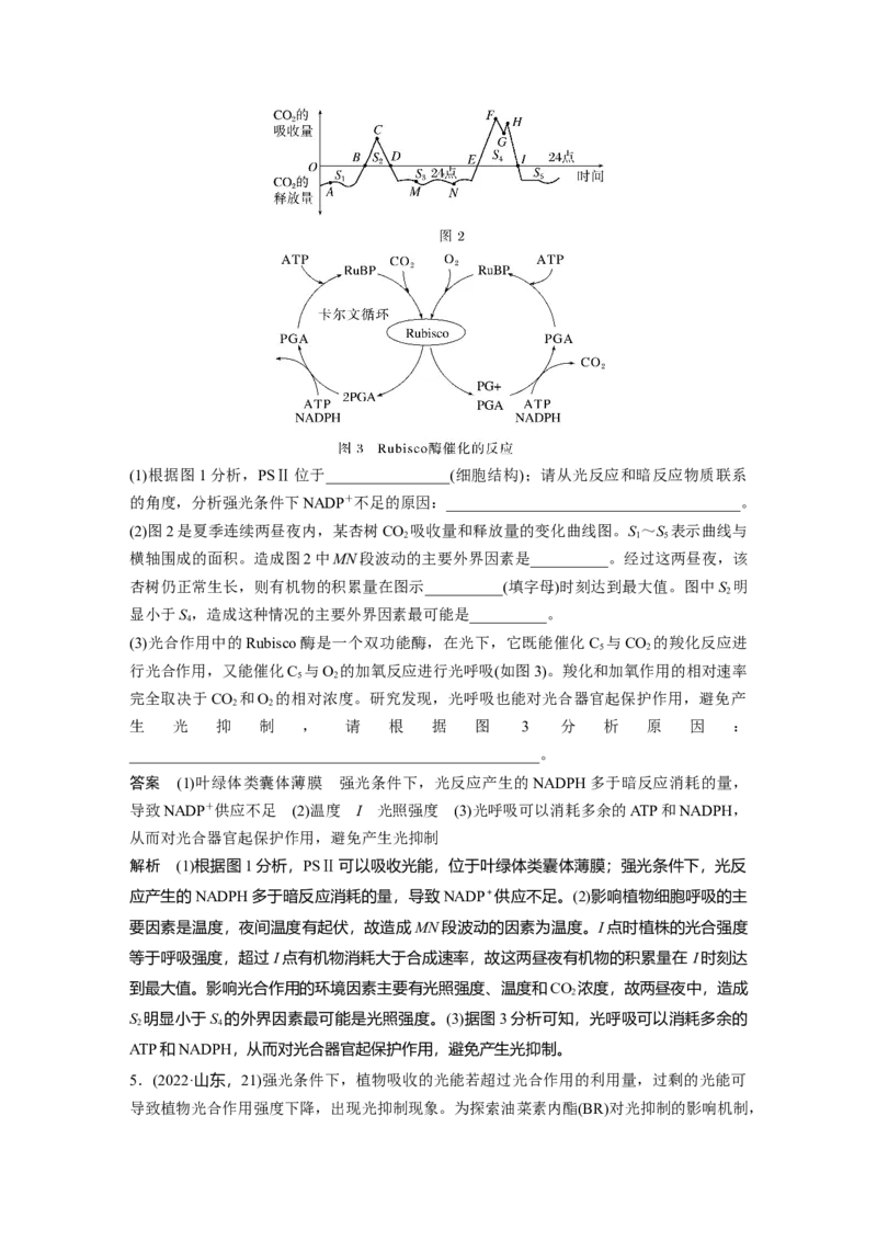 2024年高考生物一轮复习（新人教版）第3单元　解惑练2　光呼吸和光抑制_09高考生物_2024年新高考资料_1.2024一轮复习_2024年高考生物一轮复习讲义（新人教版）