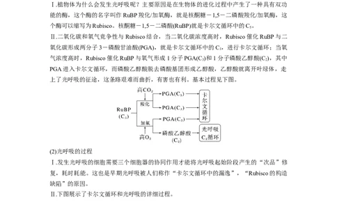 2024年高考生物一轮复习（新人教版）第3单元　解惑练2　光呼吸和光抑制_09高考生物_2024年新高考资料_1.2024一轮复习_2024年高考生物一轮复习讲义（新人教版）