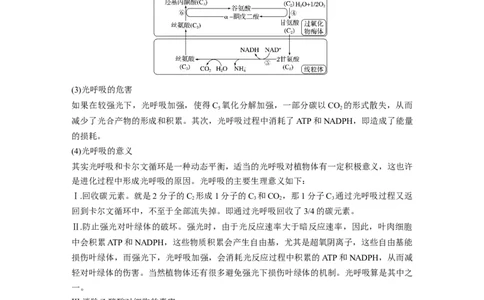 2024年高考生物一轮复习（新人教版）第3单元　解惑练2　光呼吸和光抑制_09高考生物_2024年新高考资料_1.2024一轮复习_2024年高考生物一轮复习讲义（新人教版）
