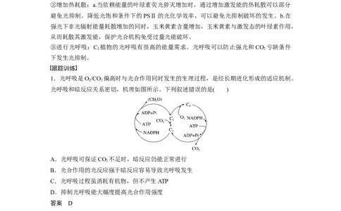 2024年高考生物一轮复习（新人教版）第3单元　解惑练2　光呼吸和光抑制_09高考生物_2024年新高考资料_1.2024一轮复习_2024年高考生物一轮复习讲义（新人教版）