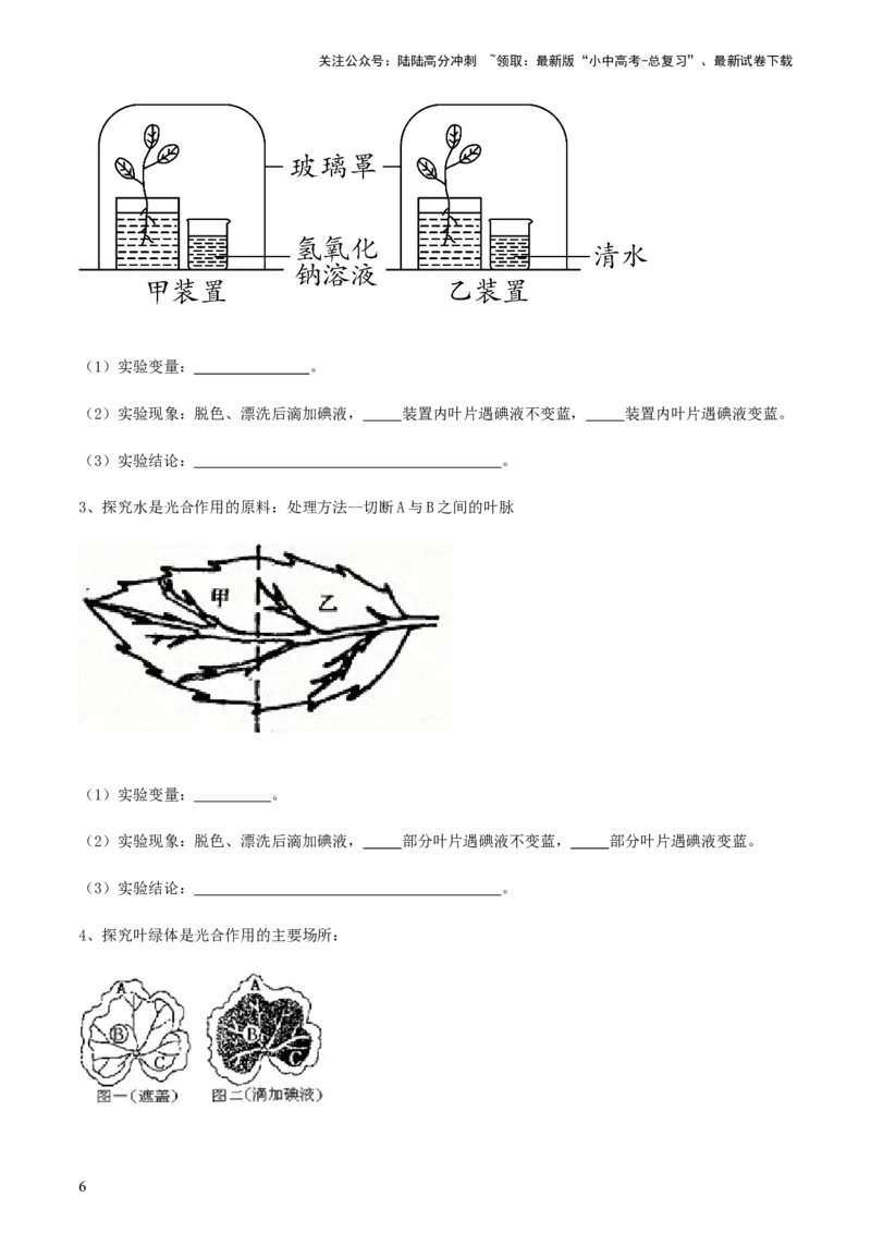 专题07绿色植物的光合作用（讲义）（原卷版）_02中考总复习（2026版更新中）_08-生物-中考总复习_2024年中考复习资料_一轮复习_❤2024年中考生物一轮复习讲练测（全国通用）_讲义
