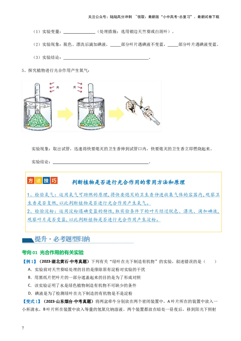 专题07绿色植物的光合作用（讲义）（原卷版）_02中考总复习（2026版更新中）_08-生物-中考总复习_2024年中考复习资料_一轮复习_❤2024年中考生物一轮复习讲练测（全国通用）_讲义