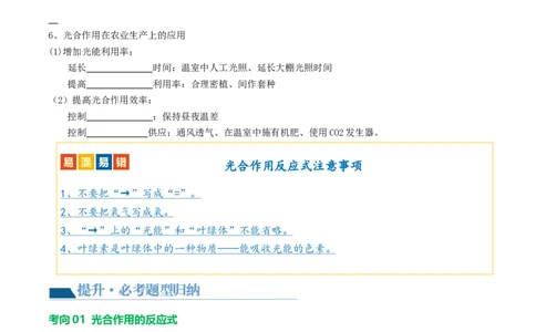 专题07绿色植物的光合作用（讲义）（原卷版）_02中考总复习（2026版更新中）_08-生物-中考总复习_2024年中考复习资料_一轮复习_❤2024年中考生物一轮复习讲练测（全国通用）_讲义