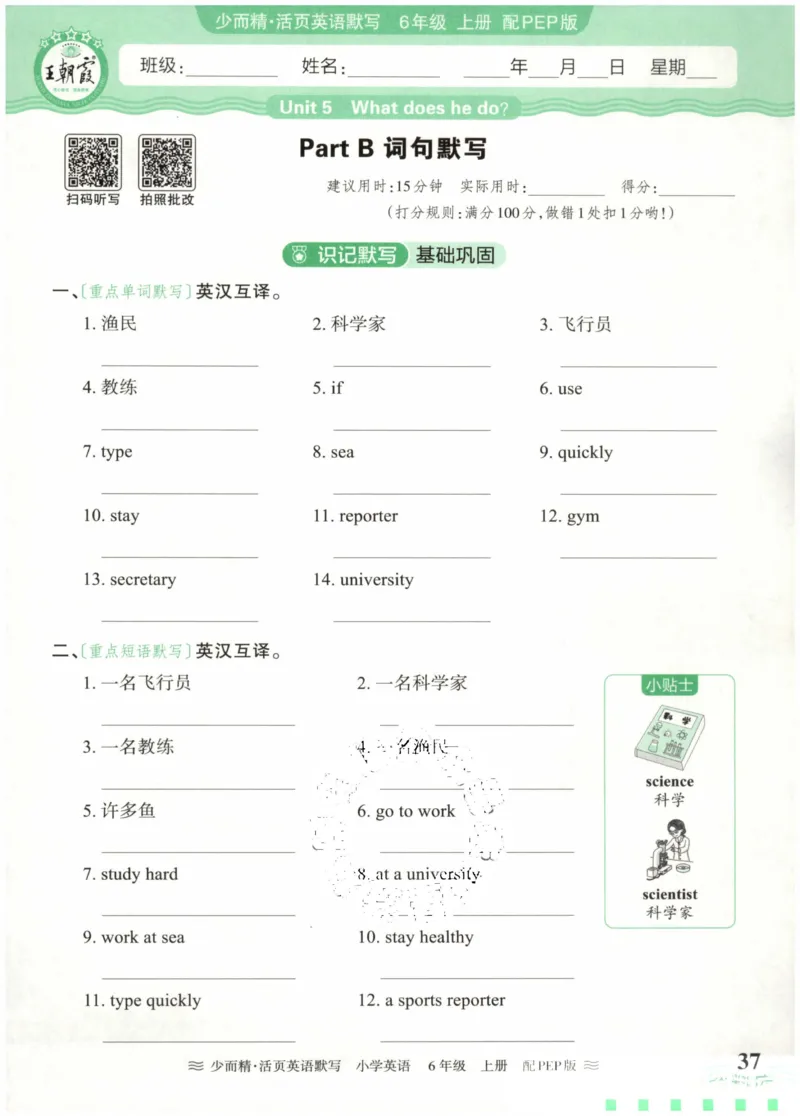 英语PEP版《王朝霞活页默写》6上（24秋）_26春四年级上下册人教版_四上英语合集人教版PEP英语四年级上册新教材（教学视频+课件+动画+音频+练习+教案）_17练习资料