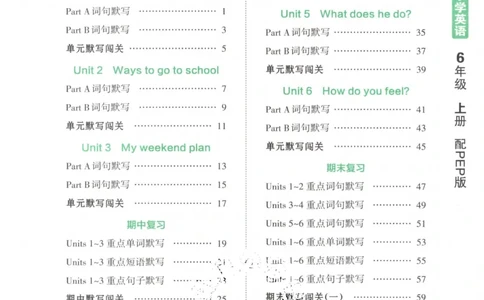 英语PEP版《王朝霞活页默写》6上（24秋）_26春四年级上下册人教版_四上英语合集人教版PEP英语四年级上册新教材（教学视频+课件+动画+音频+练习+教案）_17练习资料