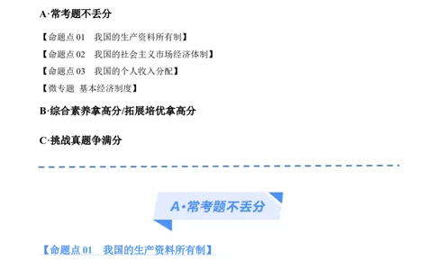 专题11制度篇&mdash;&mdash;基本经济制度（分层练）（解析版）_8.2025政治总复习_2024年新高考资料_2.2024二轮复习