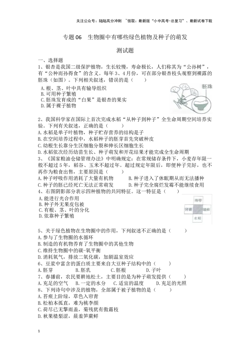 专题06生物圈中有哪些绿色植物及种子的萌发（原卷版）_02中考总复习（2026版更新中）_08-生物-中考总复习_2024年中考复习资料_一轮复习_配套练习