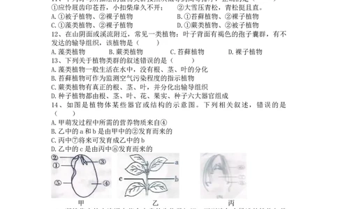 专题06生物圈中有哪些绿色植物及种子的萌发（原卷版）_02中考总复习（2026版更新中）_08-生物-中考总复习_2024年中考复习资料_一轮复习_配套练习