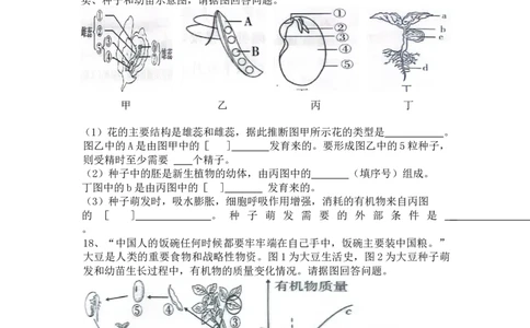 专题06生物圈中有哪些绿色植物及种子的萌发（原卷版）_02中考总复习（2026版更新中）_08-生物-中考总复习_2024年中考复习资料_一轮复习_配套练习