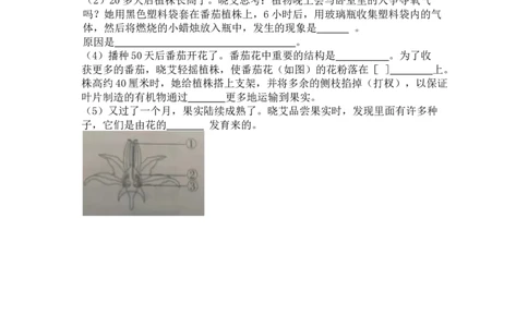 专题06生物圈中有哪些绿色植物及种子的萌发（原卷版）_02中考总复习（2026版更新中）_08-生物-中考总复习_2024年中考复习资料_一轮复习_配套练习