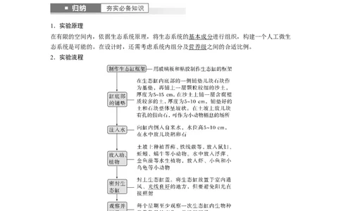 2024年高考生物一轮复习（新人教版）第9单元　第8课时　生态系统的稳定性_09高考生物_2024年新高考资料_1.2024一轮复习_2024年高考生物一轮复习讲义（新人教版）