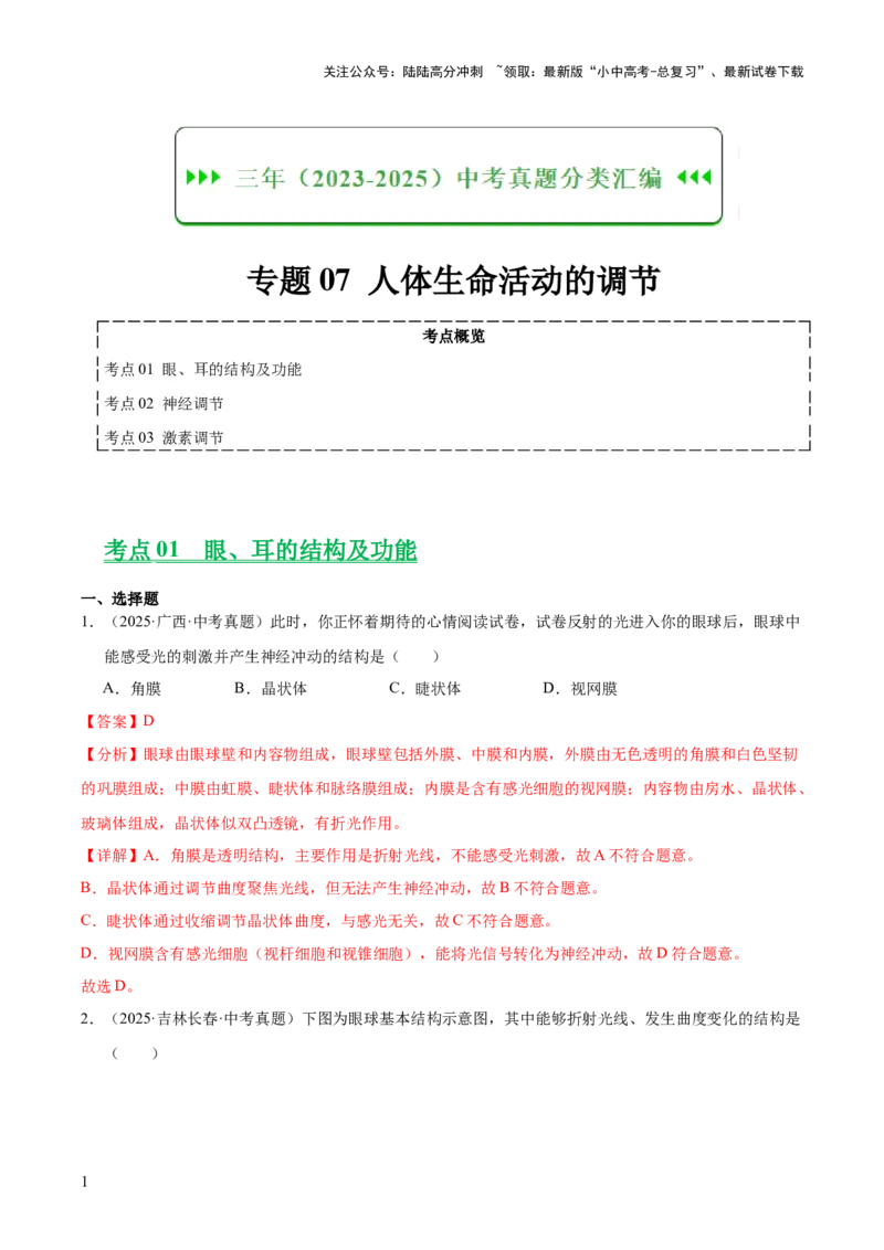 专题07人体生命活动的调节（全国通用）（解析版）_02中考总复习（2026版更新中）_08-生物-中考总复习_2026年中考复习（更新中）