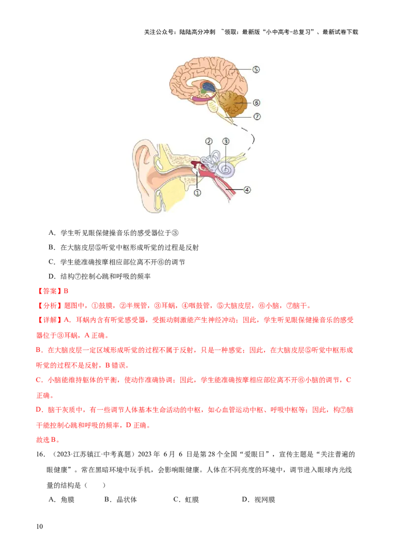 专题07人体生命活动的调节（全国通用）（解析版）_02中考总复习（2026版更新中）_08-生物-中考总复习_2026年中考复习（更新中）
