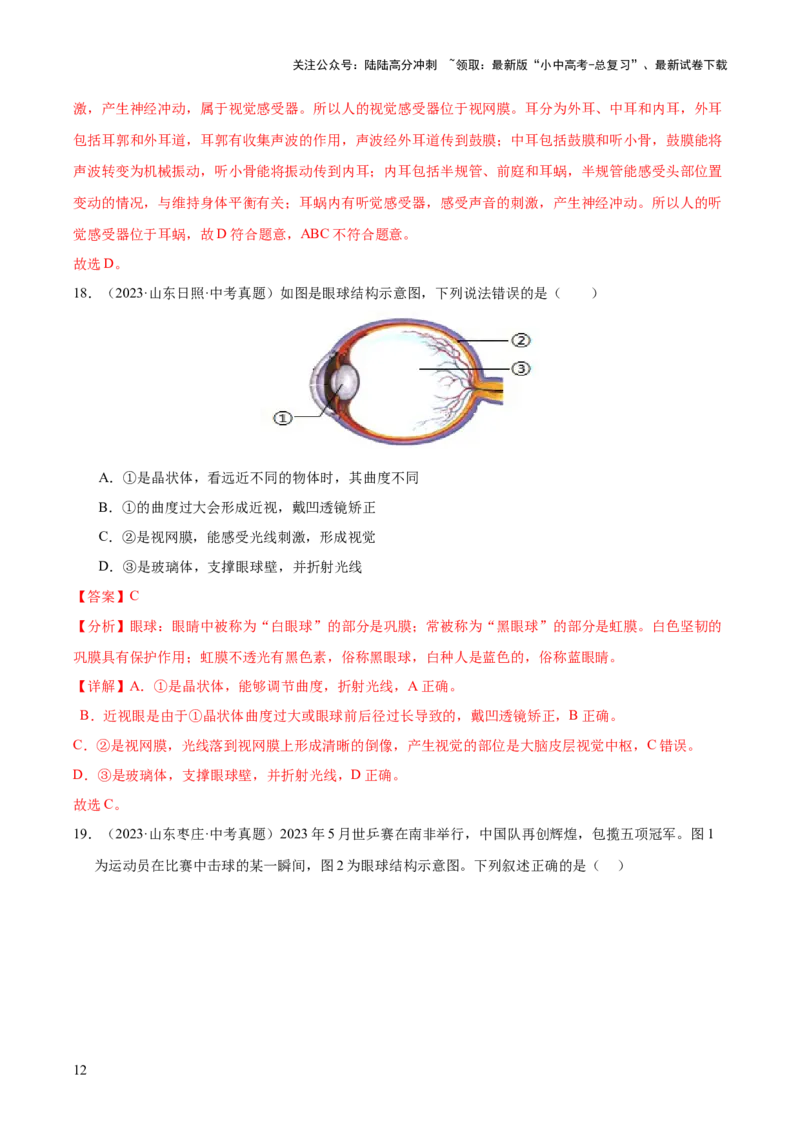 专题07人体生命活动的调节（全国通用）（解析版）_02中考总复习（2026版更新中）_08-生物-中考总复习_2026年中考复习（更新中）