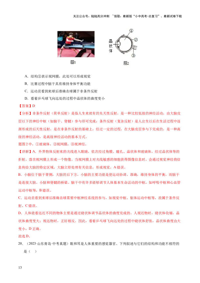 专题07人体生命活动的调节（全国通用）（解析版）_02中考总复习（2026版更新中）_08-生物-中考总复习_2026年中考复习（更新中）