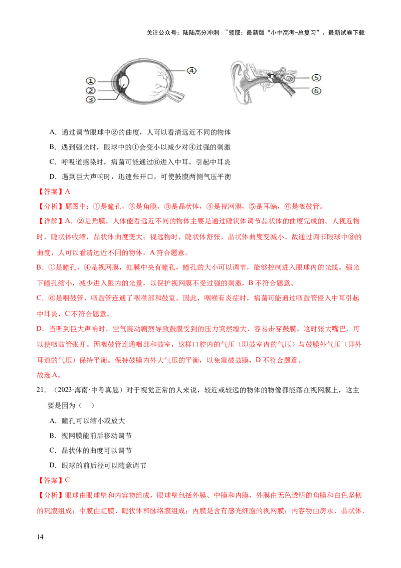 专题07人体生命活动的调节（全国通用）（解析版）_02中考总复习（2026版更新中）_08-生物-中考总复习_2026年中考复习（更新中）